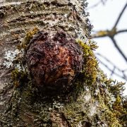 Desinfizieren von Werkzeugen