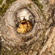 Desinfizieren von Werkzeugen