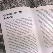 Blick ins Buch: Kapitel "Geheimnisvolle Sprache" aus dem Buch Wunderwelt Wald