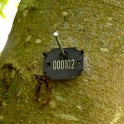 Analoge Baumplakette mit Baumnummer