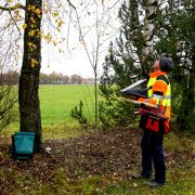 Baumkontrolle mit digitaler Baumkataster-Software