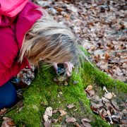 Waldbaden-Frau-Lupe-Waldboden