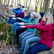 Waldbaden-Frauengruppe-auf-Baumstamm