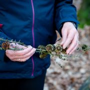 Waldbaden-Hände-mit-Zweig