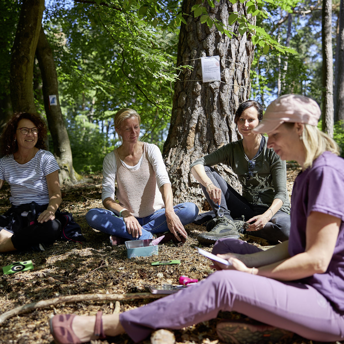 Waldbaden-Gruppe-auf-Waldboden-sitzend