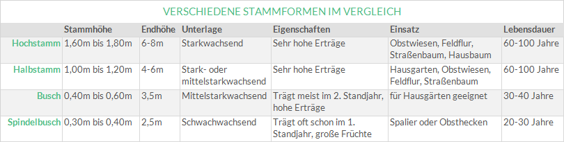 Vergleichstabelle von Stammformen bei Obstbäumen